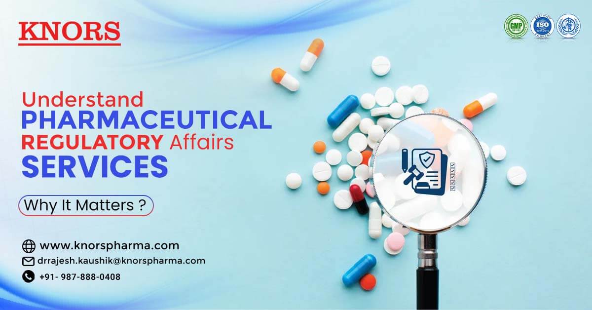 Read more about the article Understanding Pharma Regulatory Consultants: What They Do and Why It Matters
