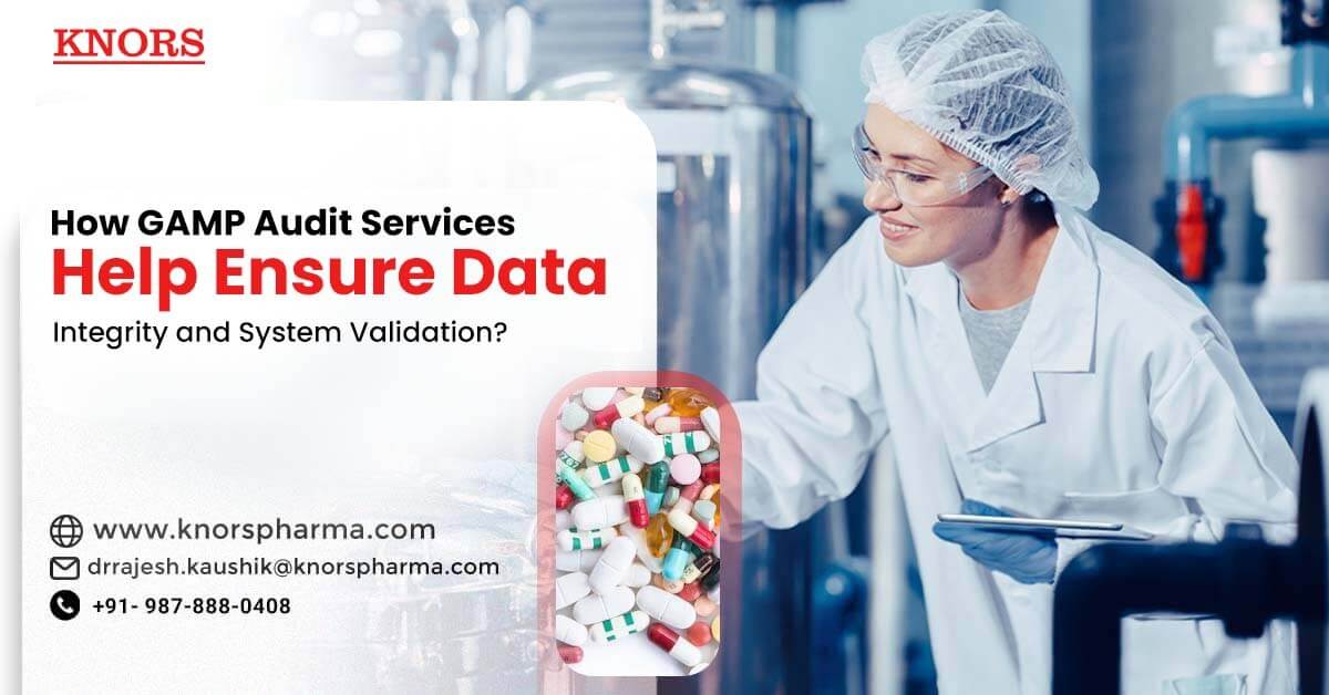 Read more about the article How GAMP Audit Services Ensure Data Integrity and System Validation?
