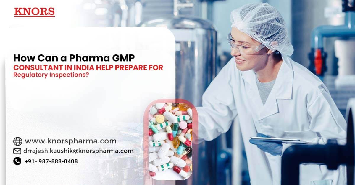 Read more about the article How Can a Pharma GMP Consultant in India Help You Prepare for Regulatory Inspections?